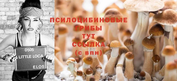 ALPHA PVP Беломорск