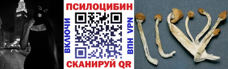 MEGA онион  где продают   Кореновск  Псилоцибиновые грибы Psilocybine cubensis 